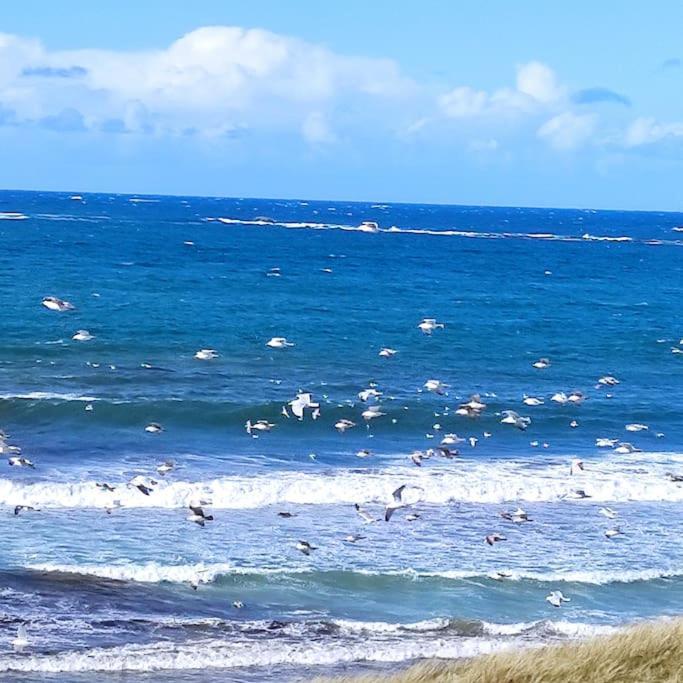 Gite Kerbourc'H Charmant Et Confortable, Mer Et Plages A 3Km, Ploudalmézeau Exteriör bild